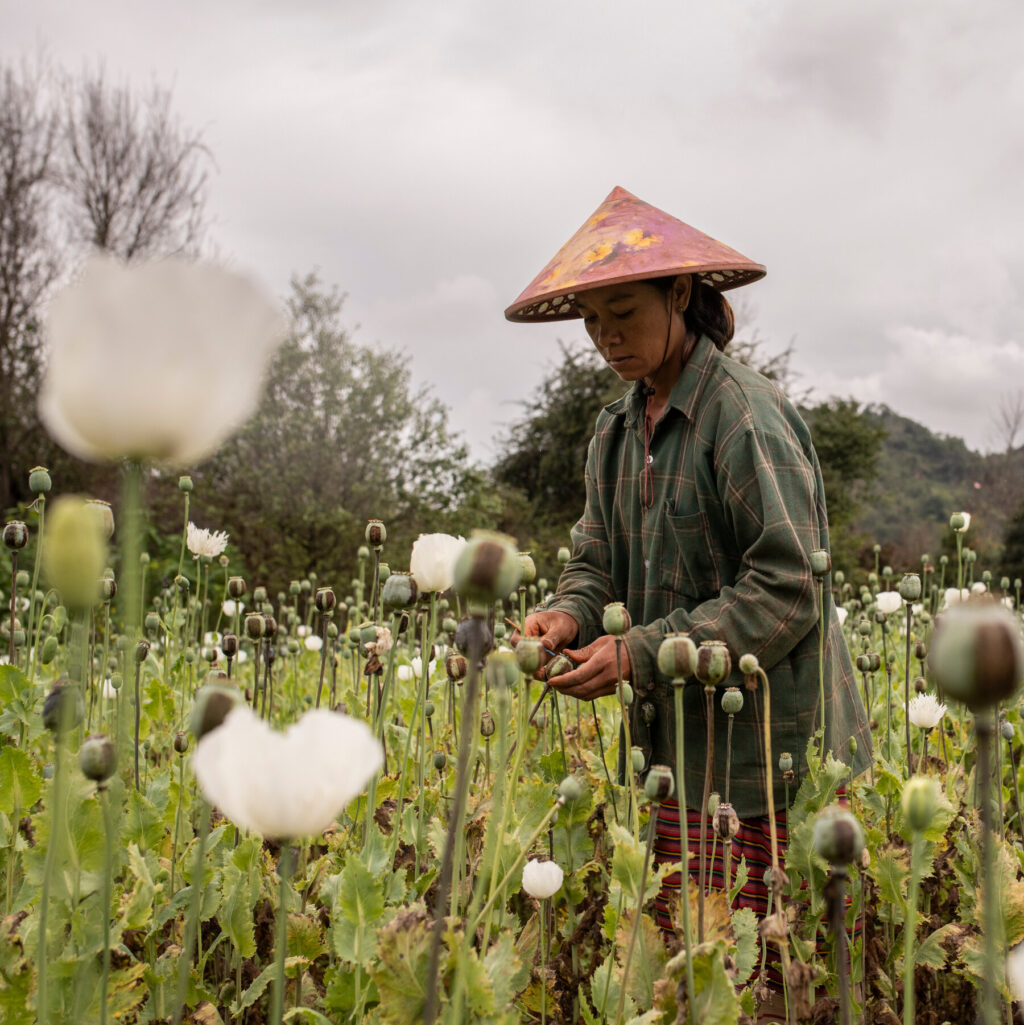 Myanmar’s War Has Made It the Global Crime Capital