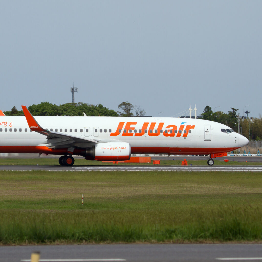 The Boeing 737-800, a precursor to the 737 Max, is used widely.