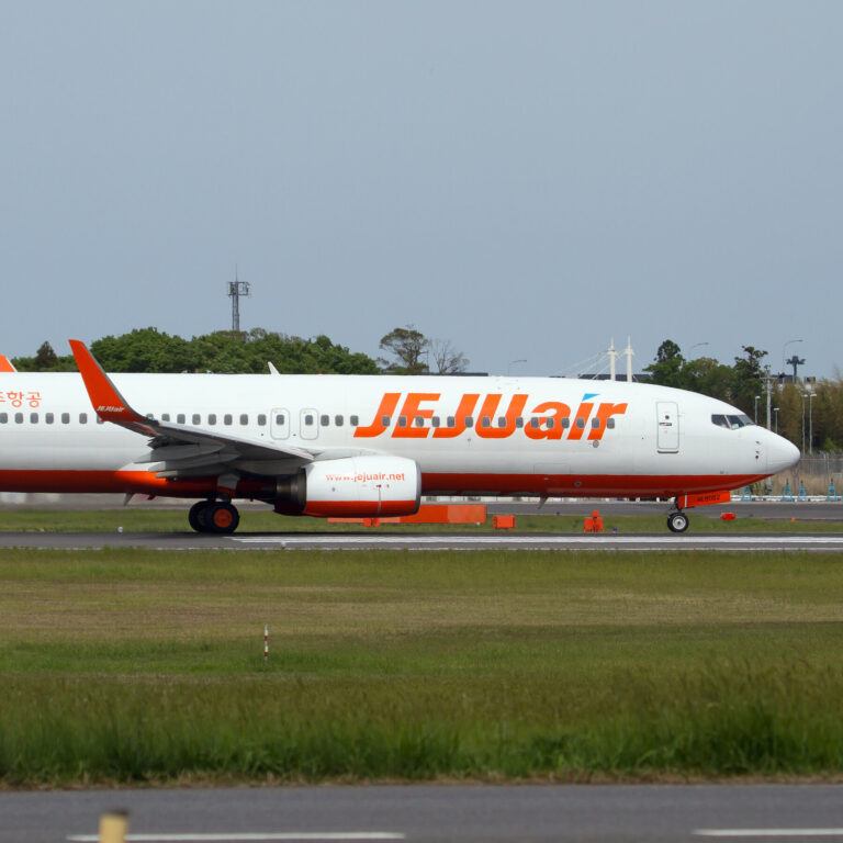 The Boeing 737-800, a precursor to the 737 Max, is used widely.