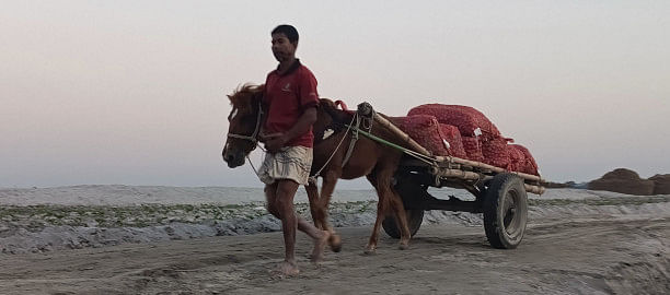 Horse-drawn carts, the lifeline of char economy