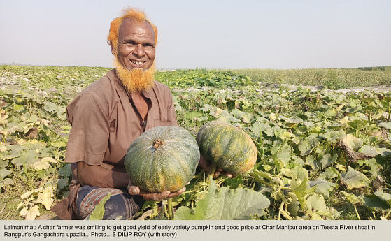 Early variety pumpkin brings smile to farmers