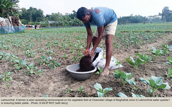 Organic fertiliser spurs high yields for farmers