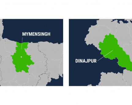 8 idols vandalised in Mymensingh, Dinajpur