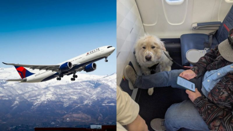 ‘Absolute joke’: Passenger annoyed as Delta Airlines gives his first-class seat to service dog