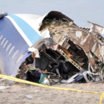 Bird, weather, or Russia - what really caused the Kazakhstan plane crash?