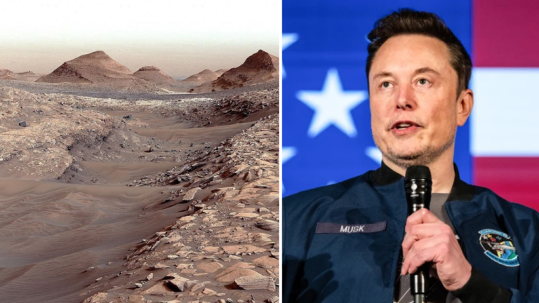 Mars or new world? Elon Musk’s bold plan to redefine humanity’s future on red planet