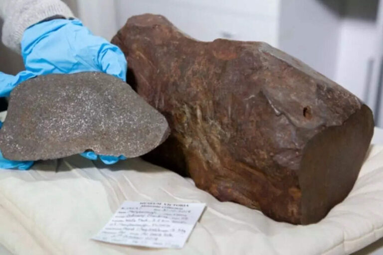 Man keeps Meteorite thinking it’s gold for 17 years