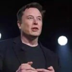 Double standards? Netizens recall Musk's 'Haitian immigrant slurs' amid immigration reform push