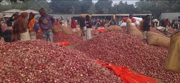 Falling prices become a headache for onion farmers