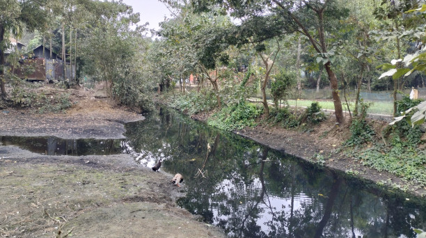 Rajkhal in Habiganj: Once vital canal now a source of contamination