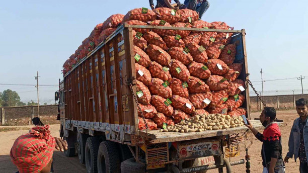 Suspend potato imports: cold storage owners