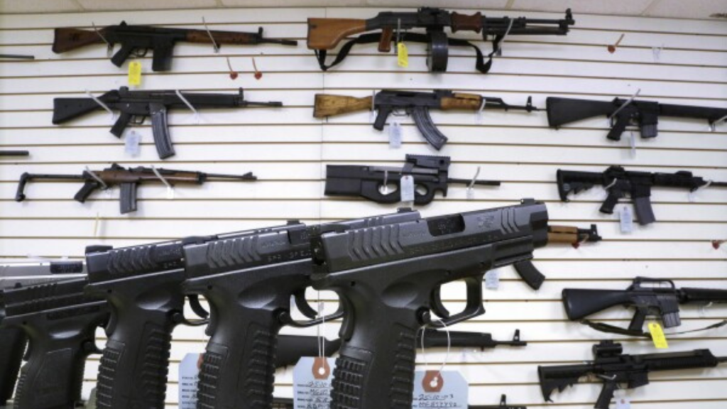 What are the key gun control laws set to take effect in the US in 2025?