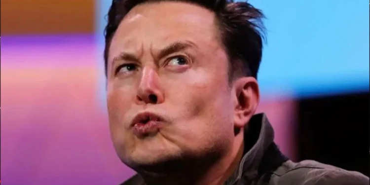 Is Musk losing his mind? Biographer sounds the alarm, 'His madness could endanger us all'