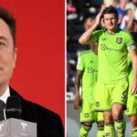 Elon Musk 'would like to' buy football club Liverpool