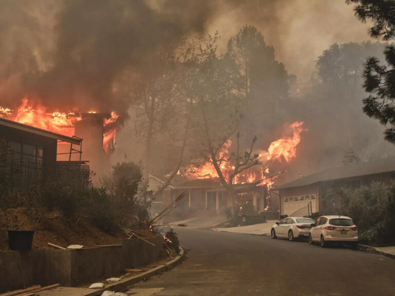 Palisades fire burns homes in wealthy Los Angeles neighborhood