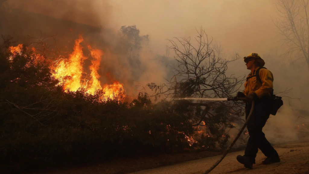 What triggered the wildfire in Los Angeles?