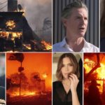 California fires leave 5 dead, $52 bn in ruins: Celebs homeless, politicians slammed