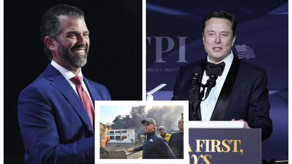 'Somehow my dad's fault': Donald Trump Jr slams Gavin Newsom over LA wildfires as Elon Musk's verdict is out