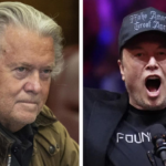 Steve Bannon says he will have 'Elon Musk run out of here by Jan 20': 'I will take this guy down'