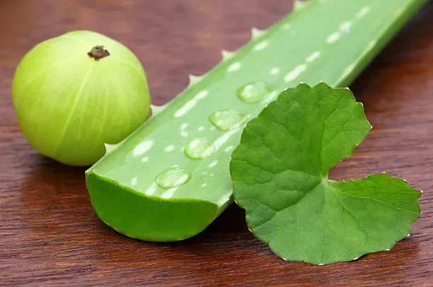 How to use Amla, Aloe Vera to stop hair fall