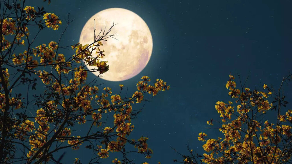 From wolf to blood moon: 11 full moons and their symbolism