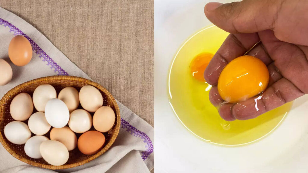 Whole Egg vs Egg White: Which has more protein