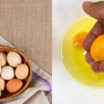 Whole Egg vs Egg White: Which has more protein