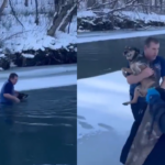 Watch: Vermont man braves icy waters to save dog from drowning in a 'selfless' act