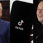 Elon Musk to buy TikTok? What President Donald Trump after 75-days ban delay order