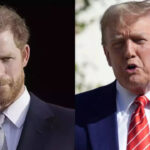 Will Prince Harry be deported from the US?