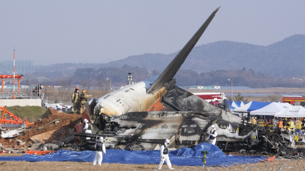 Jeju Air tragedy: Did birds cause the South Korean plane crash that killed 181?