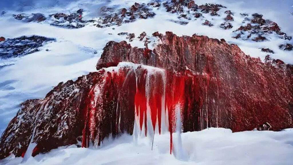 The mystery behind an unusual blood waterfall from a glacier