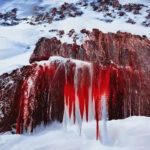 The mystery behind an unusual blood waterfall from a glacier