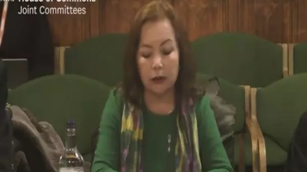 Uyghur activist Rahima Mahmut urges UK to investigate forced labour in supply chains