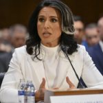 Tulsi Gabbard hearing: What is the Havana Syndrome?