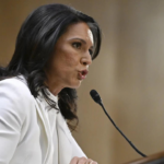 Tulsi Gabbard hits back at Democrats over ‘Putin, Modi puppet’ charge in sharp rebuttal