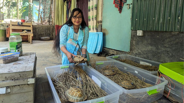 Rewilding efforts: a milestone for tortoise conservation in Bangladesh