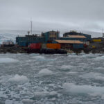 Buffalo Bills Fans Have It Tough, Especially in Antarctica