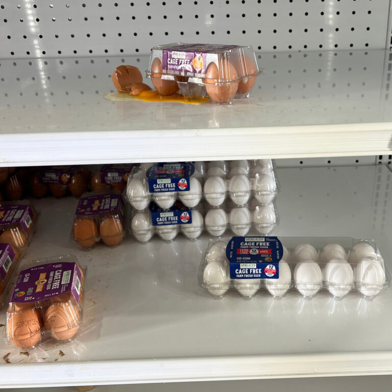 100,000 Eggs Are Stolen in Pennsylvania Amid Shortage