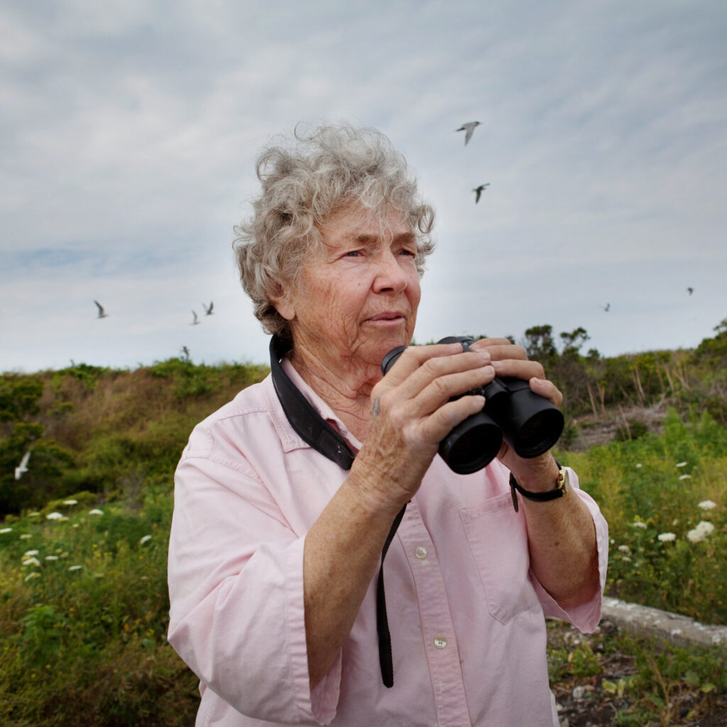 Helen Hays, Who Helped Bring Terns Back to Long Island Sound, Dies at 94