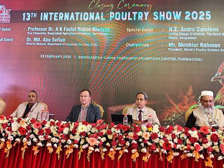 Poultry sector poised for multi-billion dollar growth by 2050: experts