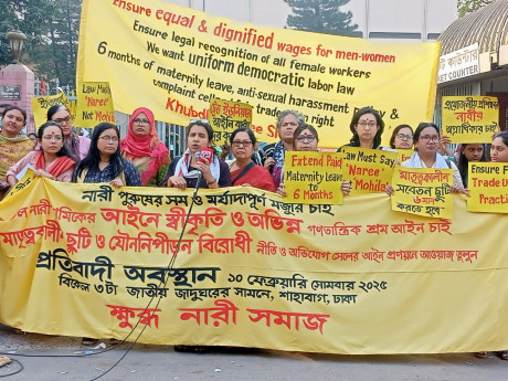 Ensure 6 months' paid maternity leave for women: speakers