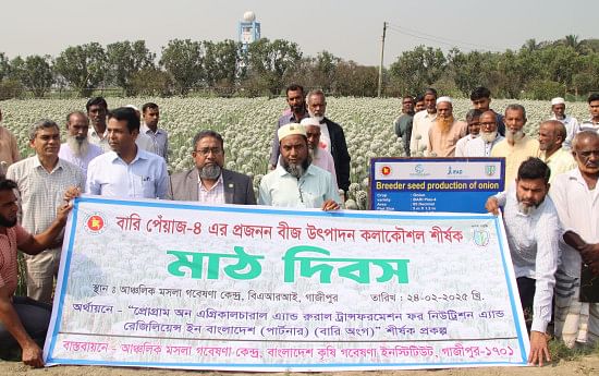 BARI holds field day on breeder seed production techniques