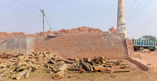 HC asks govt to shut down illegal brick kilns, seeks compliance report on Mar 17