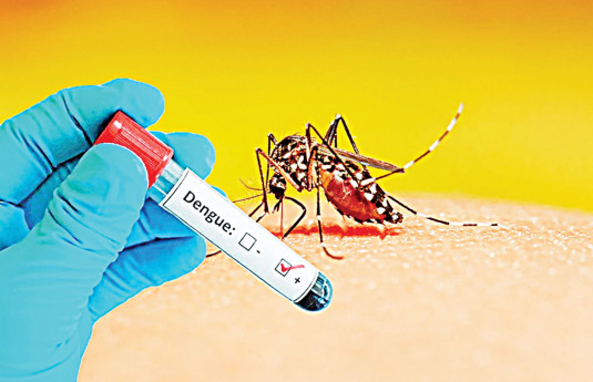 One dies of dengue in Dhaka