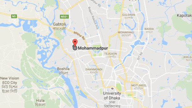 Case filed over death of a pet cat in Mohammadpur area