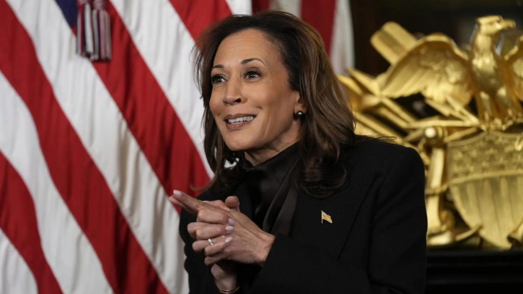 Kamala Harris didn't endorse any candidate in DNC election but made private phone calls to three frontrunners