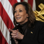 Kamala Harris didn't endorse any candidate in DNC election but made private phone calls to three frontrunners