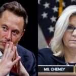 'Spawned out of USAID': Liz Cheney and Elon Musk trade jabs over her ties with agency