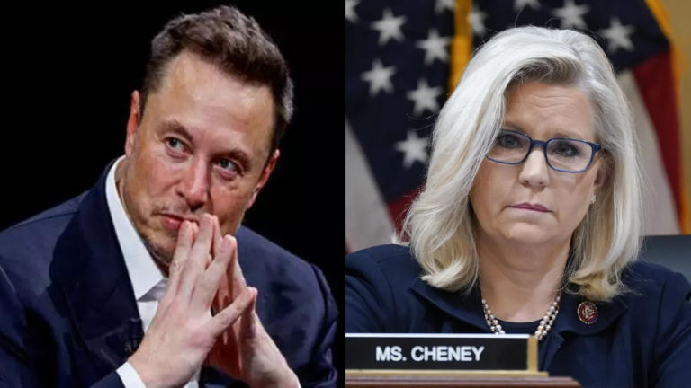 'Spawned out of USAID': Liz Cheney and Elon Musk trade jabs over her ties with agency